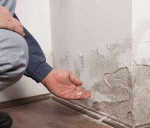water damage repair
