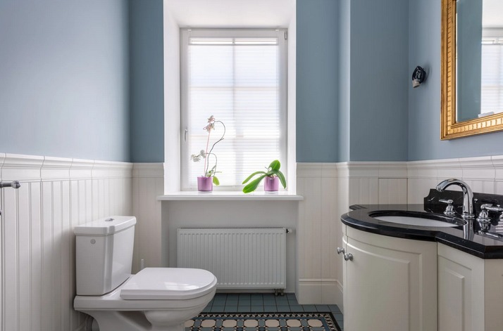 a clean toilet
